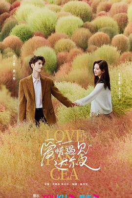 江苏seo是什么意思